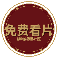 免费看片
